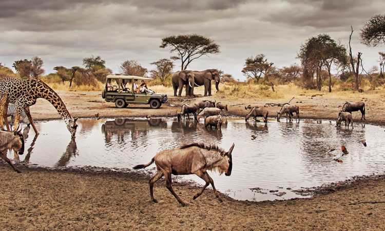 Serengeti National Park, Tanzania