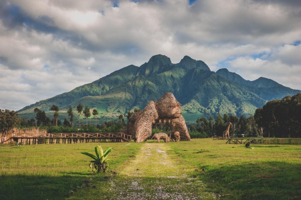 Rwanda's Volcanoes National Park